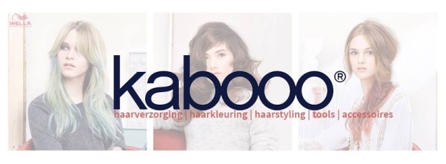 Logo Kabooo voor blog